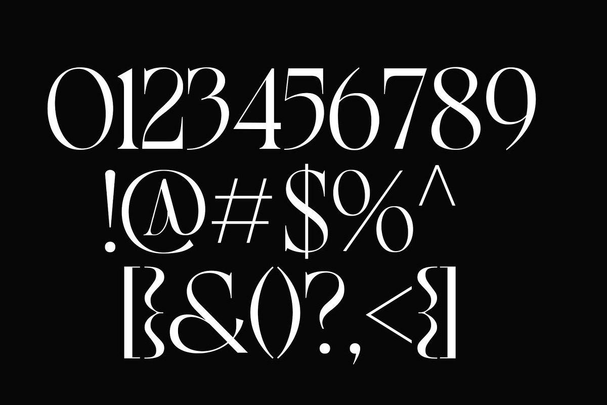 Risean Modern Serif Font, a Serif Font by Luna Shop (Photo 4 of 8)