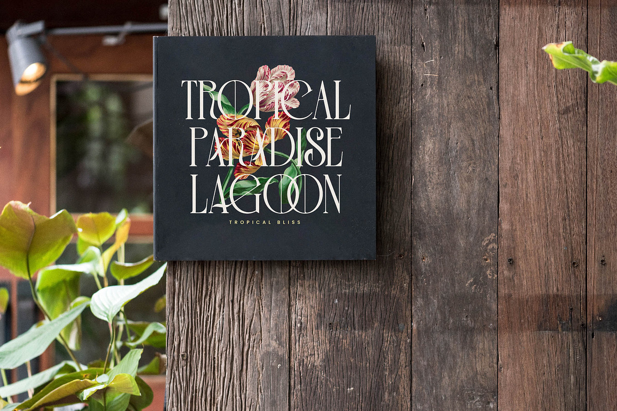 Leodarck New Modern Display Serif, a Serif Font by timelesstype.co (Photo 12 of 20)
