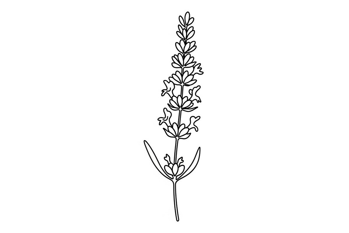 50 Floral Nature Vector Illustration, an Illustration by Gaye Art (Photo 2 of 51)