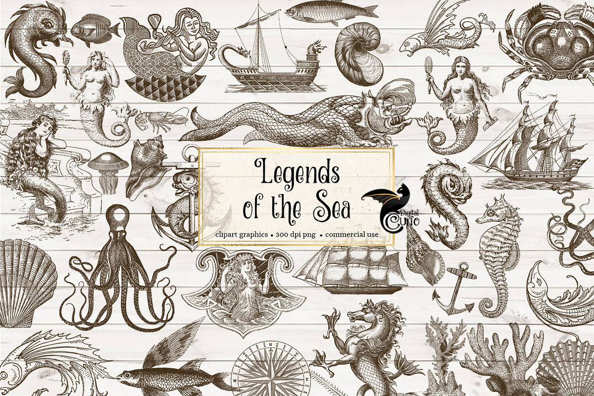 Vintage Ocean Nautical Sea Clipart, an Illustration by Digital Curio (Photo 1 of 2)