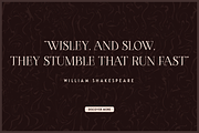 Hazchel, a Serif Font by Amera Type (Thumbnail 10 of 11)