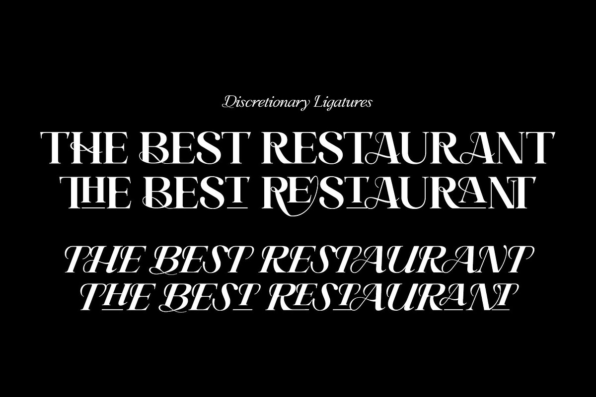 Ceciliany Serif Font Family, a Serif Font by Ryul Davidson (Photo 19 of 25)