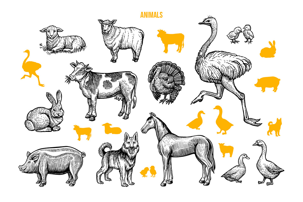 Thanksgiving Graphics Collection, an Object Graphic by ilonitta (Photo 3 of 9)