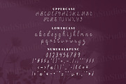 Vanadoora Script Fonts, a Script Font by mahstudios (Thumbnail 13 of 15)