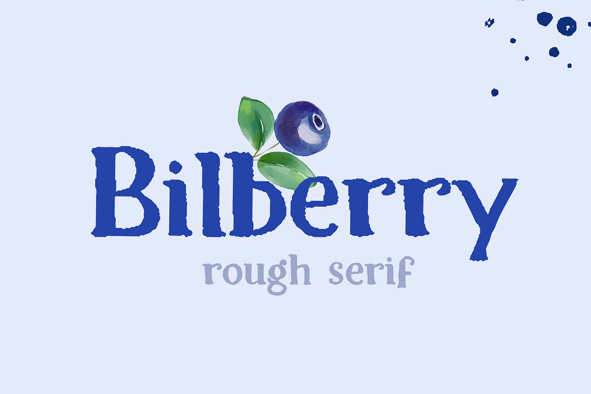 Bilberry rough serif font, a Serif Font by Art pages (Photo 1 of 10)