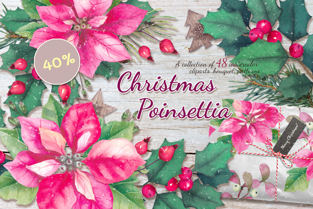 40% OFF. Christmas poinsettia SET, a Decorative Illustration by oKOLOstyle (Photo 1 of 7)