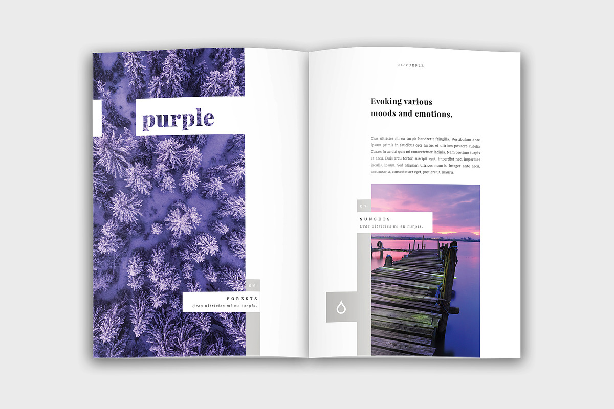 Colora - Bold, Clean Portfolio, a Brochure Template by velvetmade.designs (Photo 10 of 17)