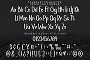 Ballpoint Signature, a Script Font by FreshTypeINK (Thumbnail 5 of 8)