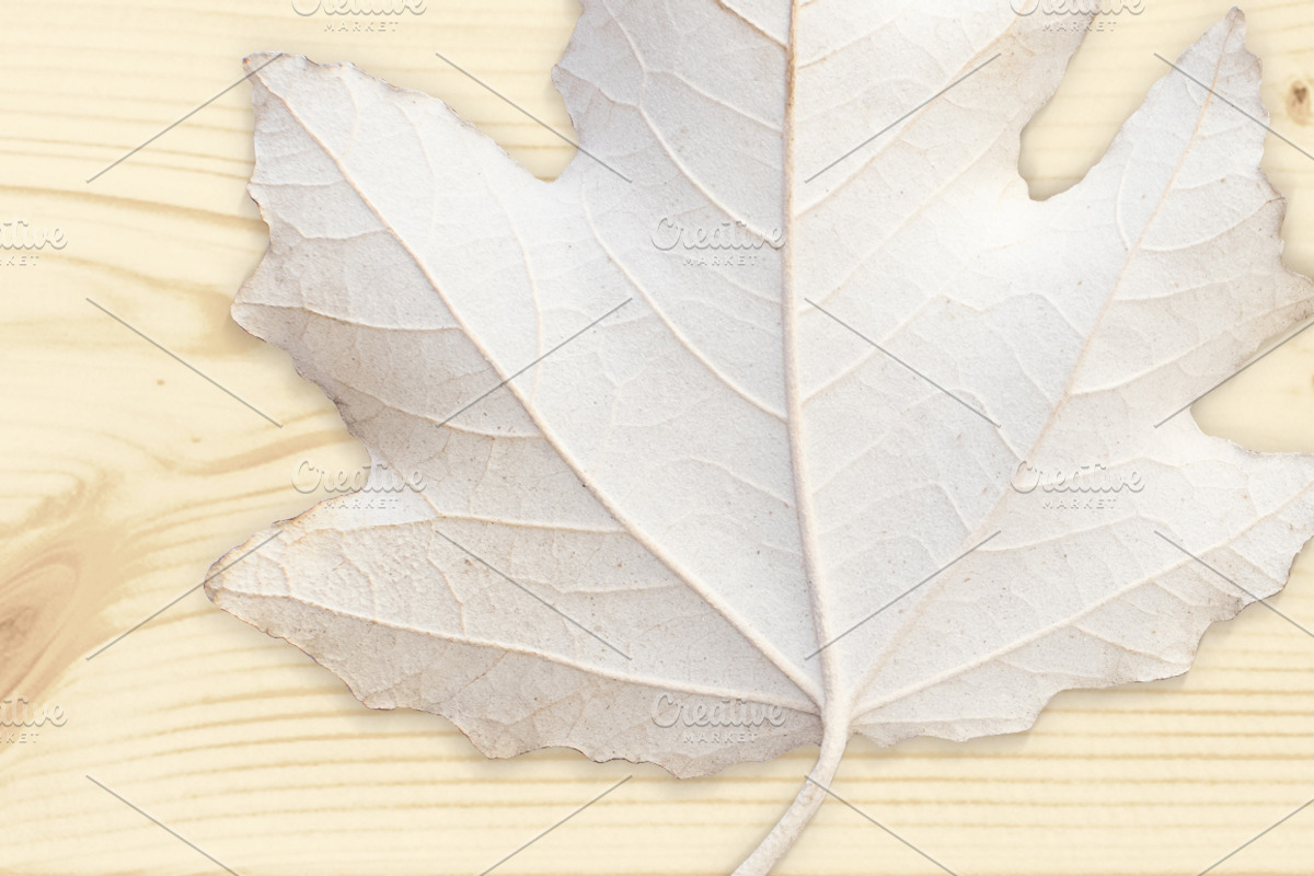 Autumn Floral Mockup Objects, an Object Graphic by uncle-rico (Photo 12 of 13)