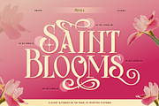 Sivola, a Serif Font by Burntilldead (Thumbnail 7 of 12)