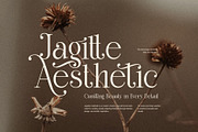Think Swite Elegant Serif Font, a Serif Font by Graphicxell (Thumbnail 3 of 8)