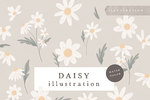 WATERCOLOR DAISY / illustration set