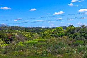 Tranquil countryside under blue sky, a Nature Photo by DanFLCreativo