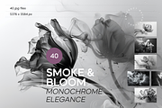 Smoke & Bloom Monochrome Elegance, a Nature Photo by Lumeno (Thumbnail 1 of 4)