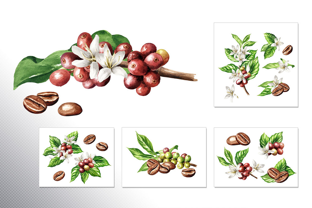 Coffee Time. Watercolor hand drawn, a Food Illustration by Daria Ustiugova (Photo 3 of 18)