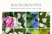 Blurry Flowers Abstract Backgrounds, a Background Graphic by Yuliya Derbisheva (Thumbnail 13 of 15)