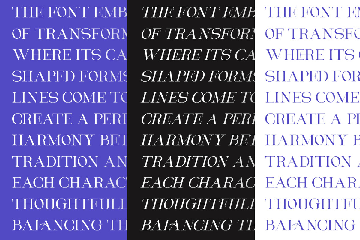 Magerla Serif, a Serif Font by IM Studio (Photo 9 of 12)