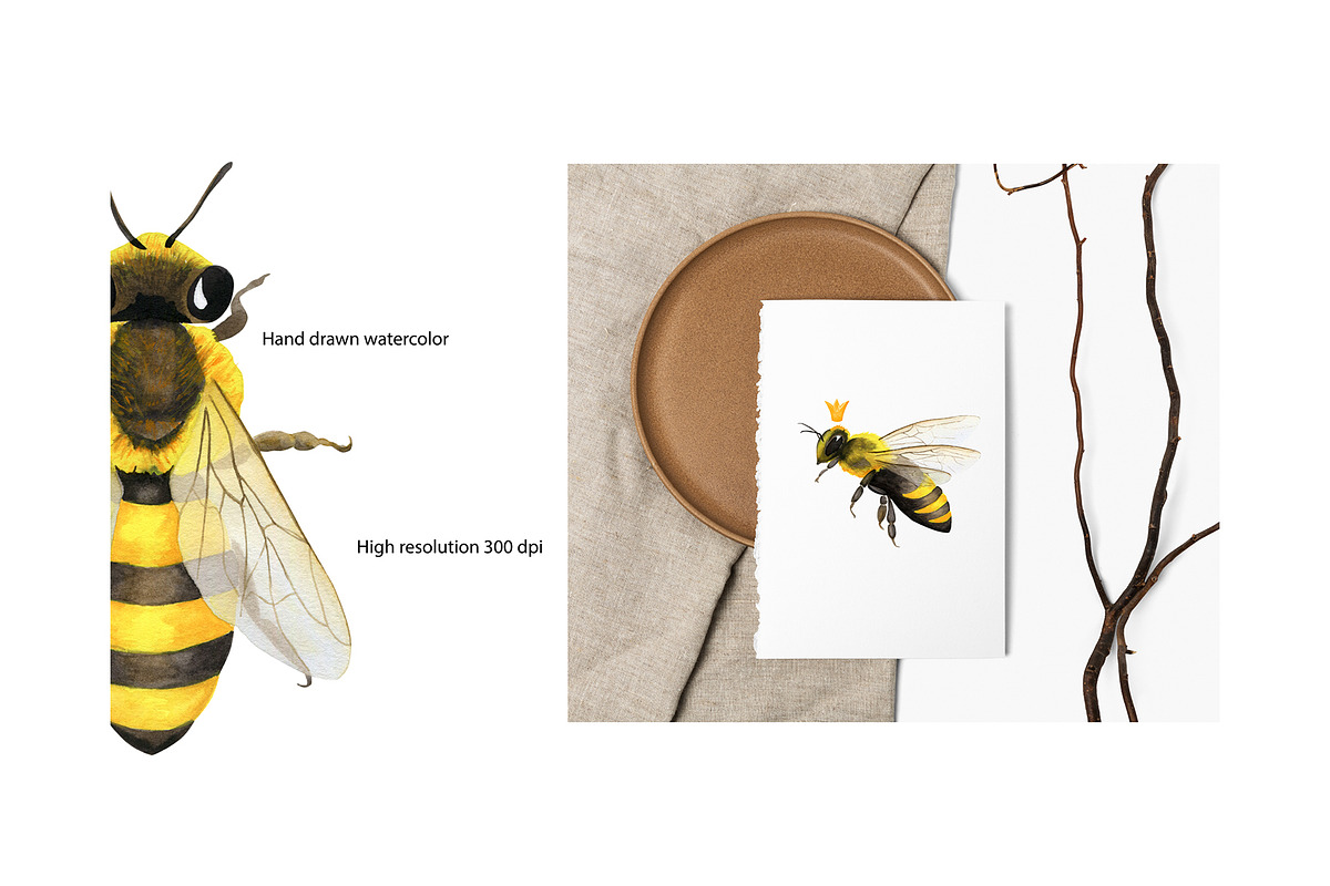 Honey Bee Watercolor Bundle, an Animal Illustration by Lemon design (Photo 3 of 10)