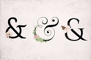 Ornate Ampersands, a Decorative Illustration by Maggie Stilwell Design (Thumbnail 12 of 13)