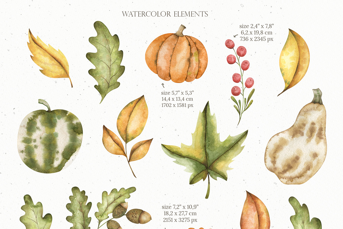 Watercolor Cute Thanksgiving Set, an Object Graphic by OrangePeafowlArt (Photo 2 of 15)