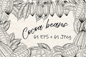 Cocoa Beans Vector illustration, a Food Illustration by Milla_Zelenyuk_art