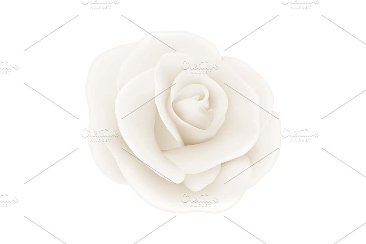 Rose. Vector Set., an Object Graphic by Gomolach (Photo 6 of 6)