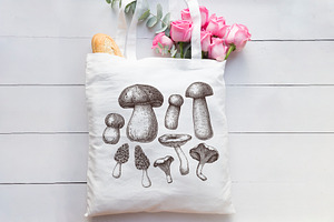 Vector Mushroom Sketches Set