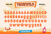 Truewild, a Slab Serif Font by Artisan Themes (Thumbnail 10 of 11)