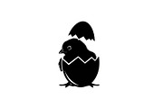 Cute Easter Chick Hatch Vector Bundl, an Illustration by jahid234 (Thumbnail 29 of 51)
