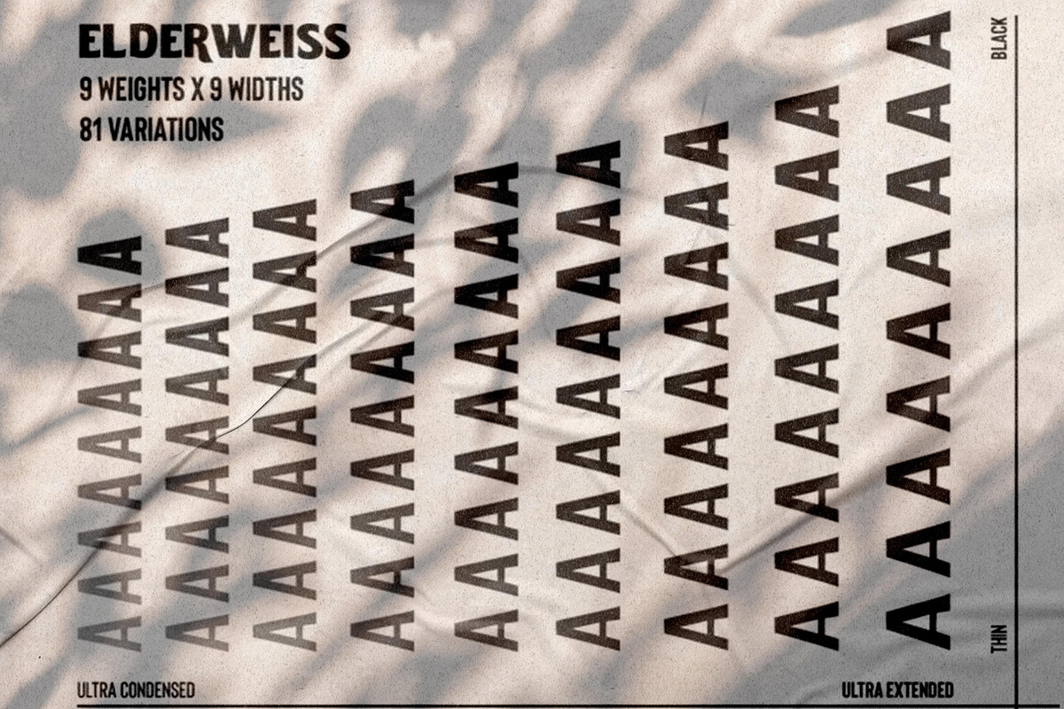 Elderweiss | Experimental Family, a Sans Serif Font by Noto Rupa (Photo 4 of 6)
