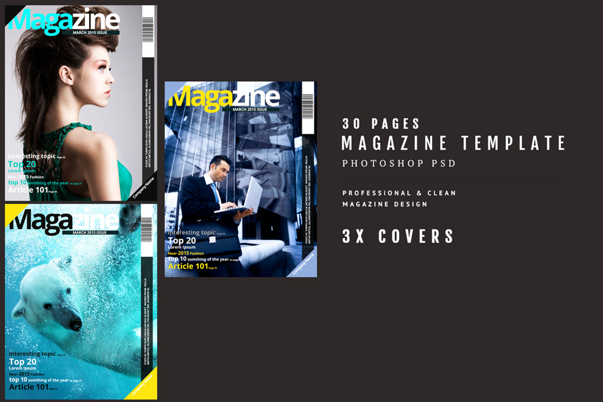 Magazine Template 39, a Magazine Template by pmvch (Photo 2 of 15)