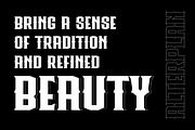 Alterplan Classic Display Font, a Blackletter Font by IHDSTD (Thumbnail 7 of 7)