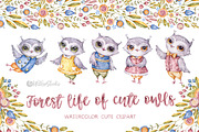 Owl clipart watercolor illustrations, an Animal Illustration by UlitkaStudio (Thumbnail 7 of 8)