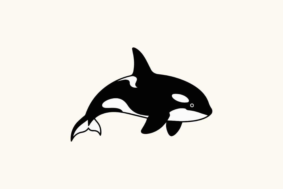Orca in clean flat vector style, an Animal Illustration by Pray Art Design Studio (Photo 1 of 3)