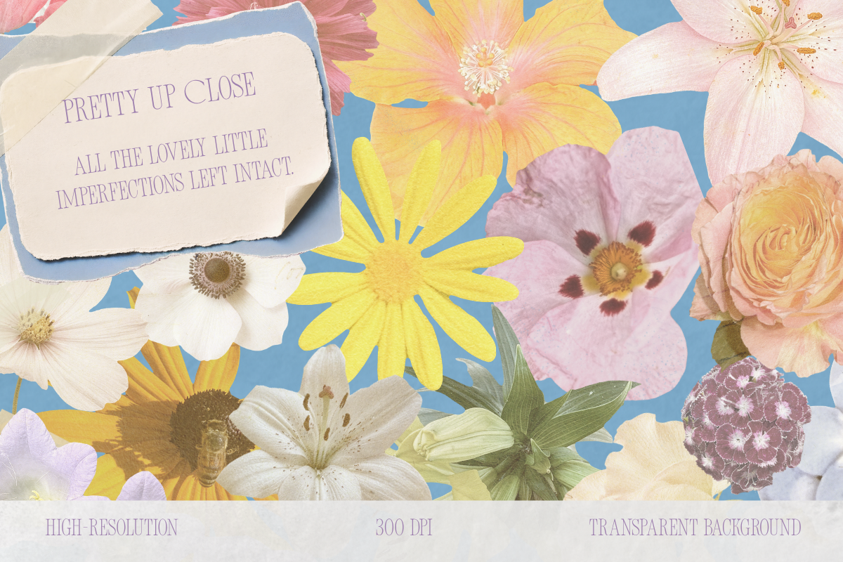 Pretty in Pieces Floral Clip Art, an Object Graphic by Fins and Fiction (Photo 4 of 6)