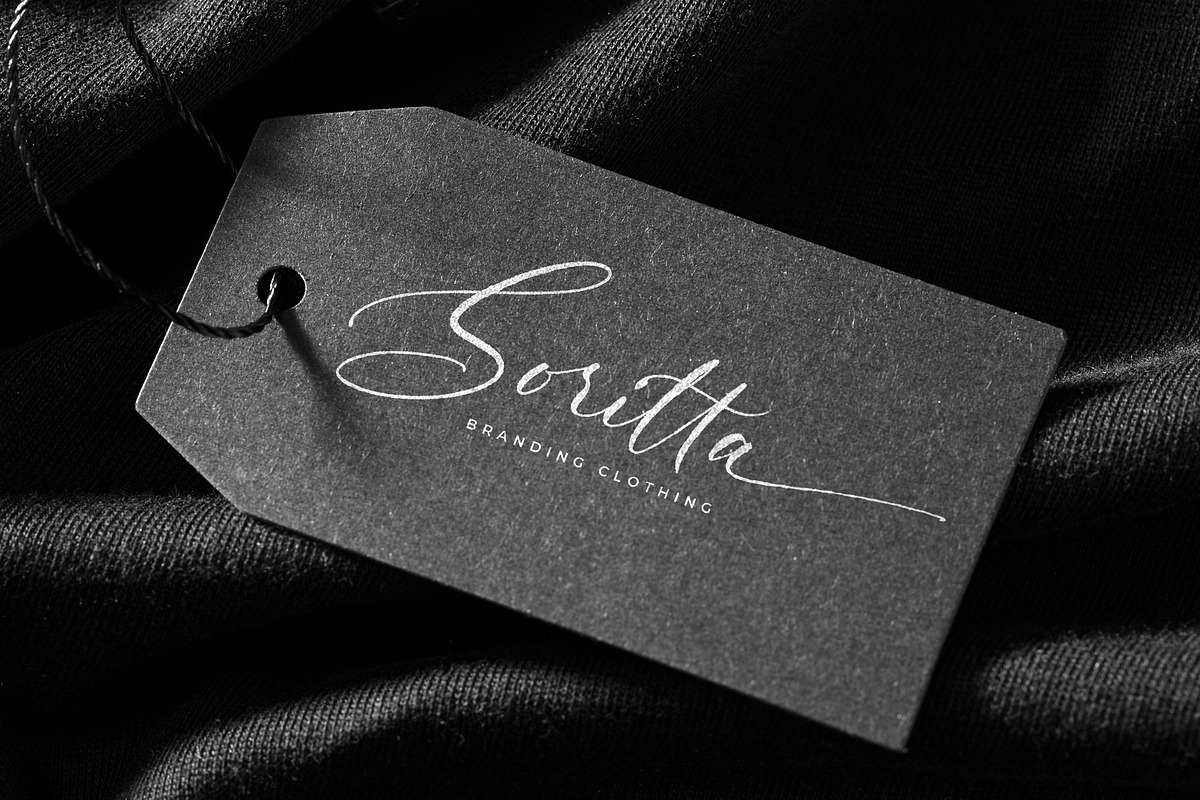 Written in History // Signature Font, a Script Font by Anatadesign (Photo 3 of 10)
