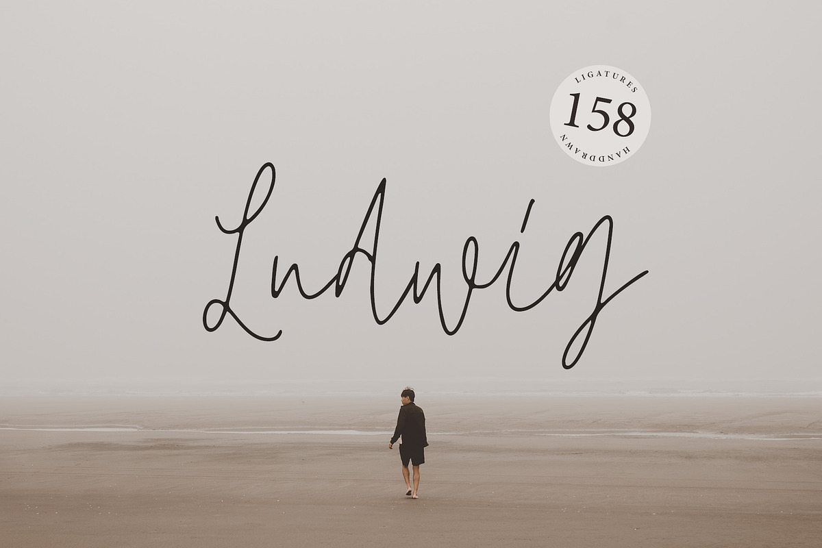 Ludwig Script
