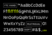 Viand — A Versatile Sans with Flavor, a Sans Serif Font by Fridaytype (Thumbnail 11 of 15)