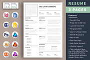 Google docs Resume Template, a Resume Template by Alice_s (Thumbnail 1 of 6)