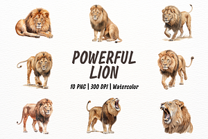 Powerful African Lion Watercolor, an Animal Illustration by New-School-Wave