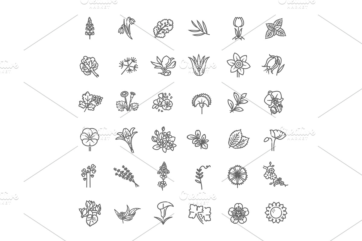 Flowers and herbs icons, an Object Illustration by Tettygreen
