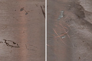 GSTC - Metal textures, a Texture Graphic by The Shop (Thumbnail 32 of 89)