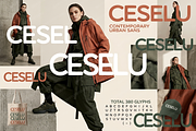 Ceselu - A Refined Luxury Serif, a Serif Font by Astuti Studio (Thumbnail 5 of 24)