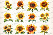 Yellow Sunflower Watercolor Flowers, an Illustration by DreamCafeArt (Thumbnail 4 of 6)