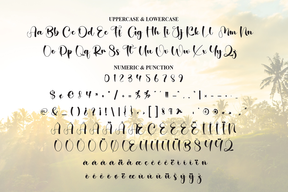 Sunshine | Script Font, a Handwritten Font by Scratchones (Photo 7 of 8)