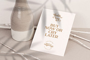 Bilderberg | Luxury Bold Serif, a Serif Font by Almeera Std (Thumbnail 25 of 25)