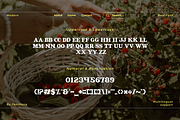 Luxeira - A Modern Classy Serif Font, a Serif Font by overlaytemplates (Thumbnail 4 of 5)