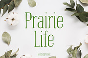 Prairie Life – Cute font, a Serif Font by TokoPress (Thumbnail 1 of 10)