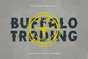 Wildheart | Font Family + Elements, a Font by Callie Rian & Co. (Thumbnail 6 of 17)