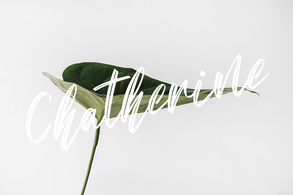Sean Bettania - Brush Script Font, a Script Font by NTC Graphic (Photo 3 of 9)